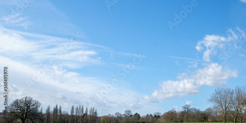 Fototapeta Naklejka Na Ścianę i Meble -  horizon, line, cloud, sky, trees. nature, background, environment, landscape