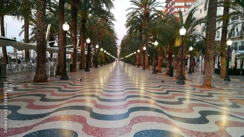 Paseo de la Explanada with its palm trees and its characteristic pavement mosaics in the early hours of the morning, with the night lighting still on  photo