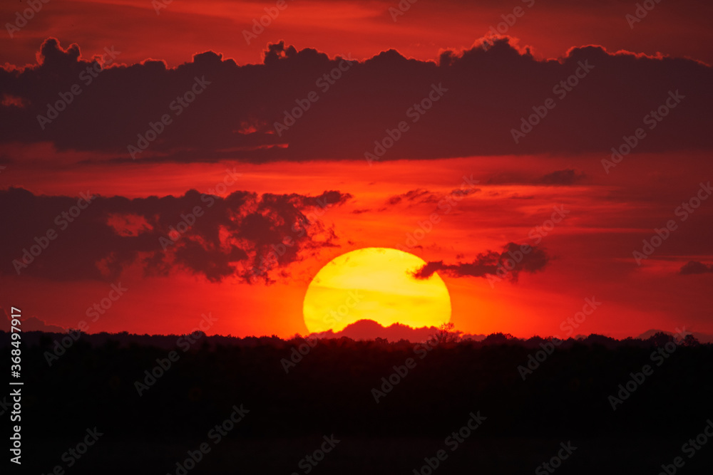 Sun setting, excellent backdrop Sun setting, excellent backdrop