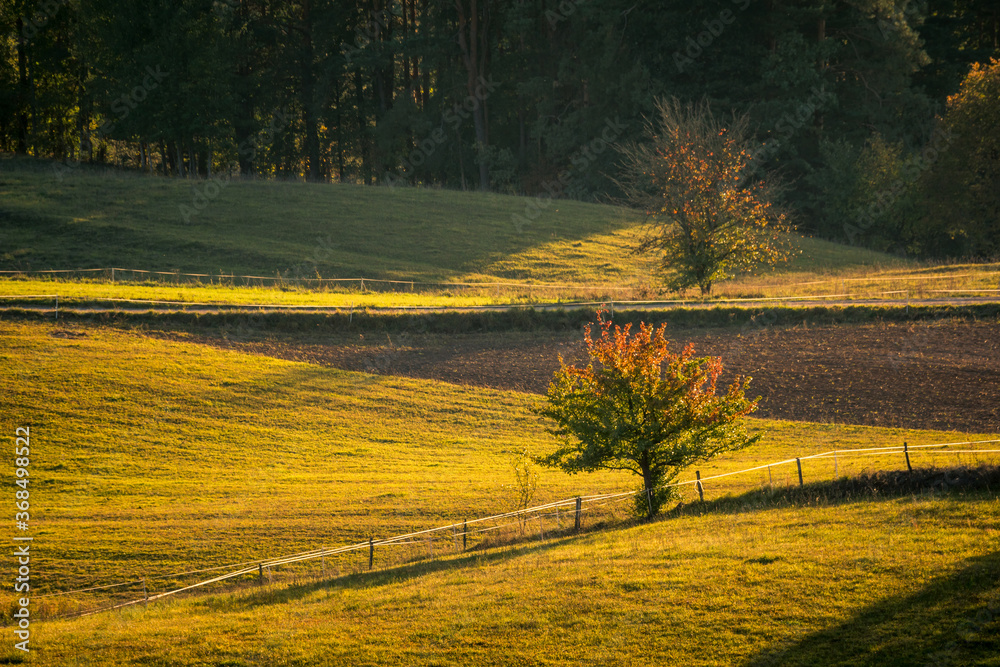 View of the fields, meadows and forests (typical Podlasie landscape) during the setting sun near Wigry, Poland
