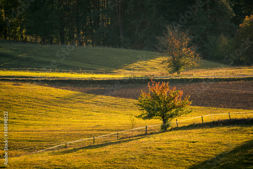 Obraz na płótnie View of the fields, meadows and forests (typical Podlasie landscape) during the setting sun near Wigry, Poland w salonie