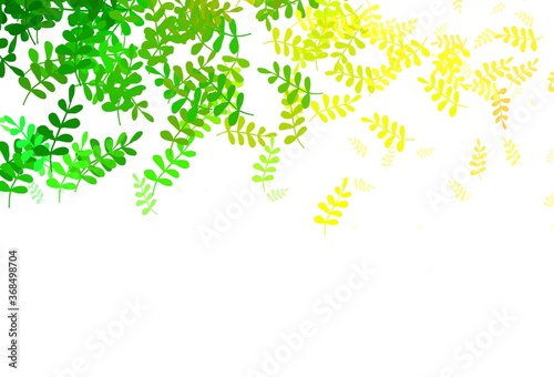 Light Green, Red vector elegant pattern with leaves.