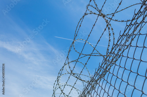 Metal mesh and barbed wire