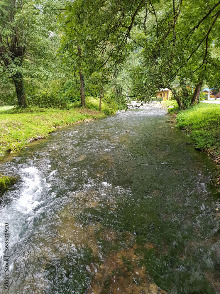 Fototapeta premium Mlava river in Serbia. Clear river water with tall trees that provide shade. Romantic atmosphere.