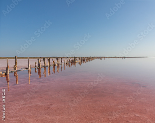 Pink salt marsh