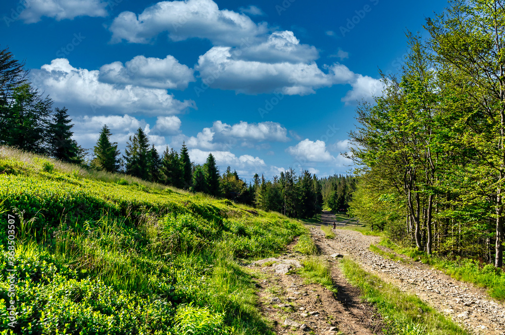 Bielsko Biala, South Poland: Wide angle shot of hiking track in the scenic mountain through green forest against dramatic clouds