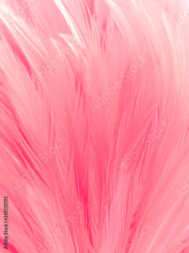 Beautiful abstract white and pink feathers on white background and soft white feather texture on pink pattern and pink background  feather background  pink banners