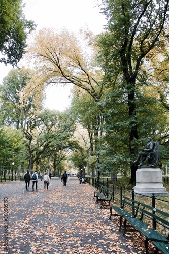 Walk in Central Park 
