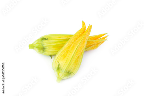 Yellow pumpkin and zucchini flowers isolated on white background.