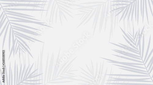 Vector shadow from tropical palm leaves on the white floor. Workplace and relaxation on the beach