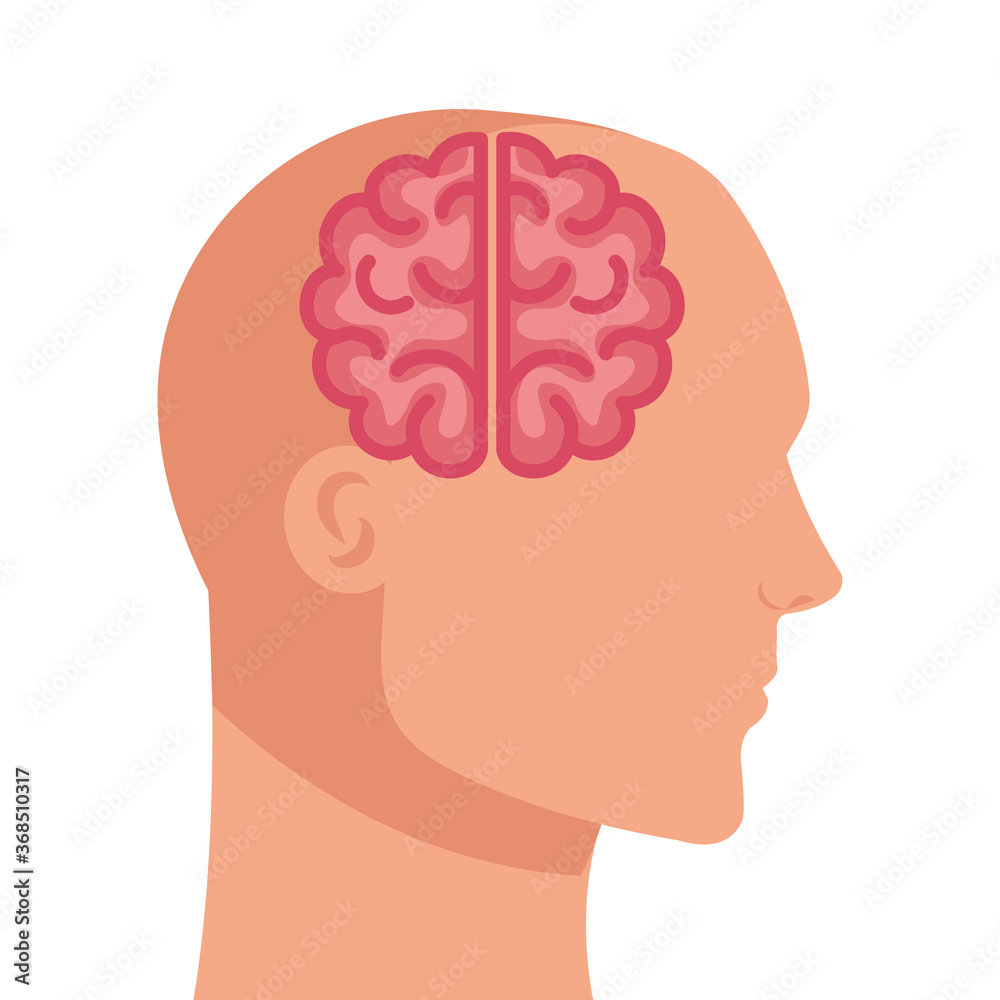 silhouette of human profile with brain, on white background vector illustration design