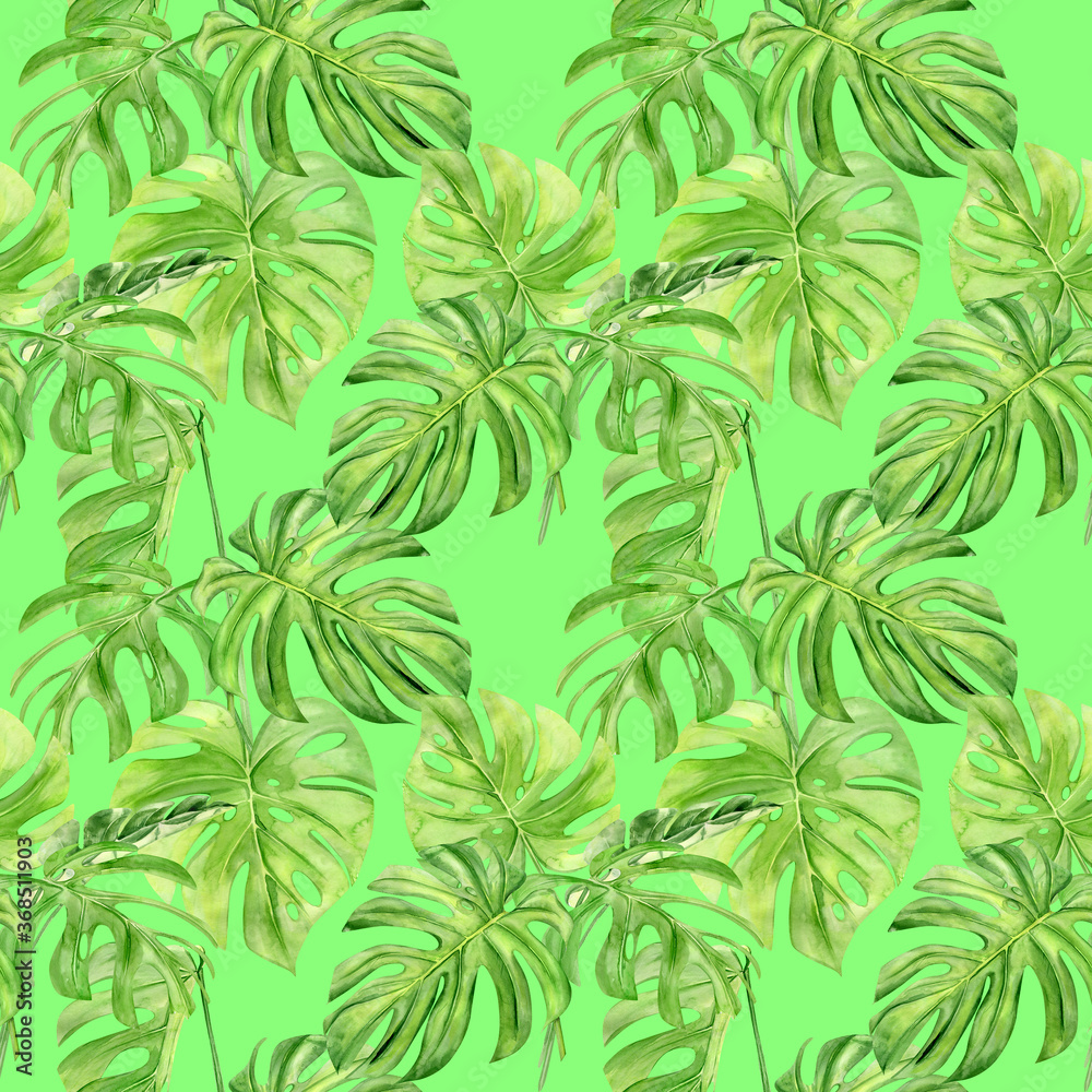 Watercolor illustration seamless pattern of tropical leaf monstera. Perfect as background texture, wrapping paper, textile or wallpaper design. Hand drawn