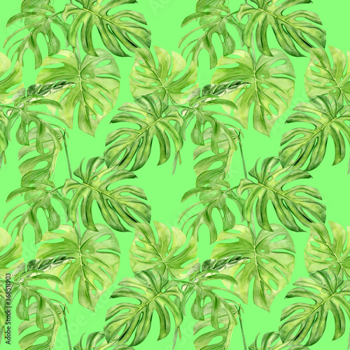 Watercolor illustration seamless pattern of tropical leaf monstera. Perfect as background texture  wrapping paper  textile or wallpaper design. Hand drawn