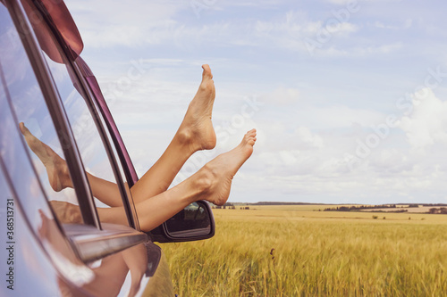 Canvas Print Women's legs stick out of the car window, against the background of a wheat field