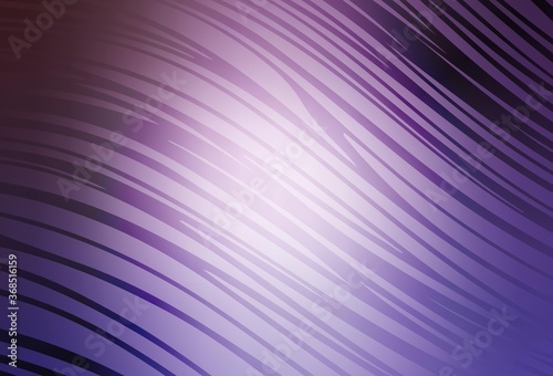 Light Purple vector background with lines.