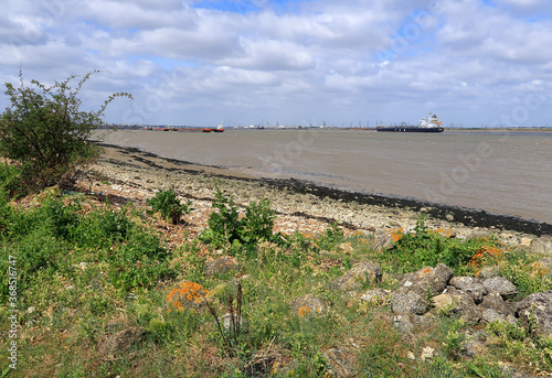 A view of the rocky bank of the river Thames near to Gravesend in Kent photo