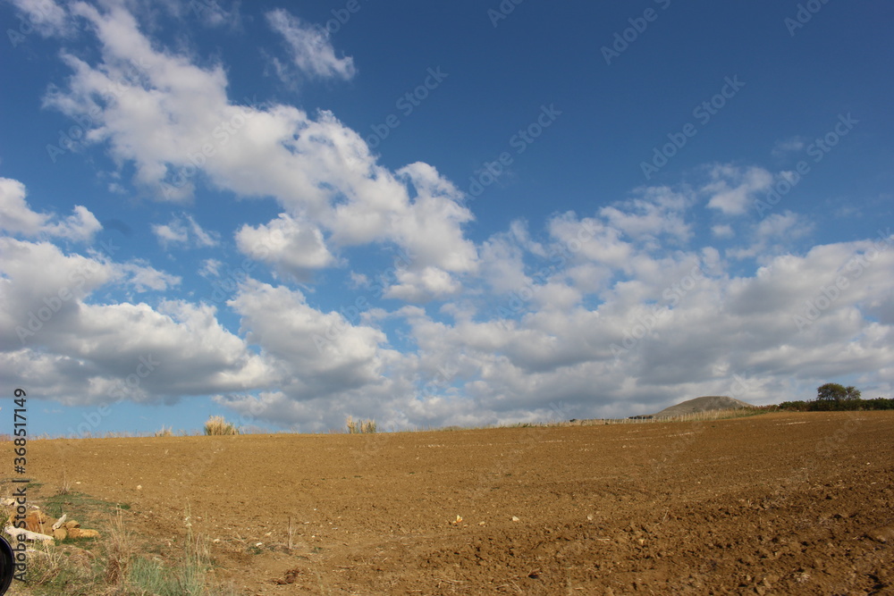 landscape with a field landscape with a field