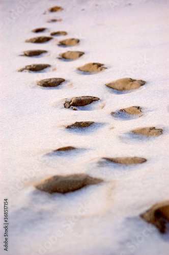 Footsteps in the Sand