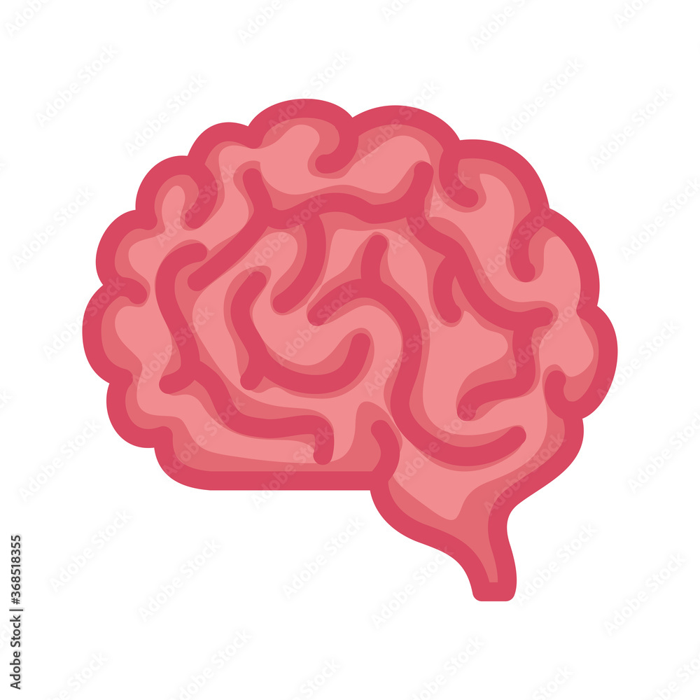 neurology, brain human on white background vector illustration design