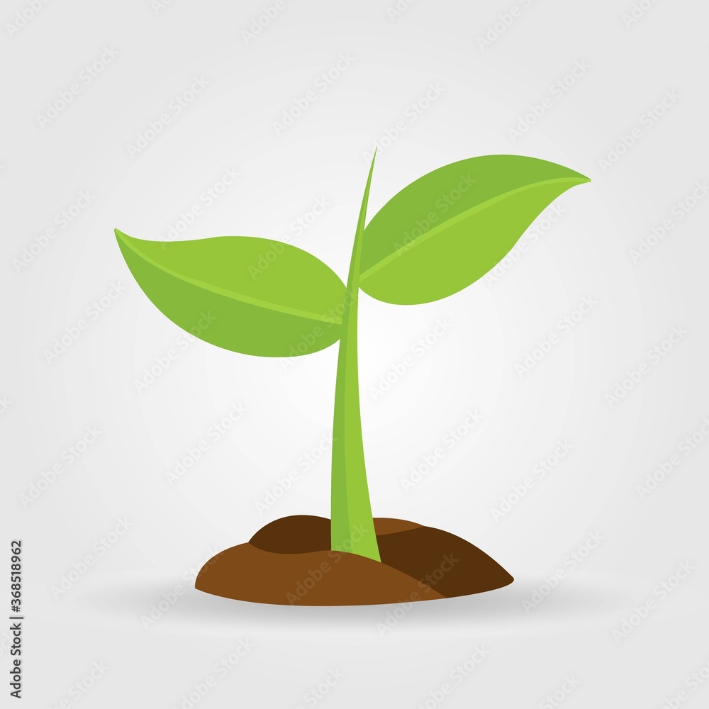 Growth of plant, from sprout to vegetable. Planting tree. Growth of plant, from sprout to vegetable. Planting tree.