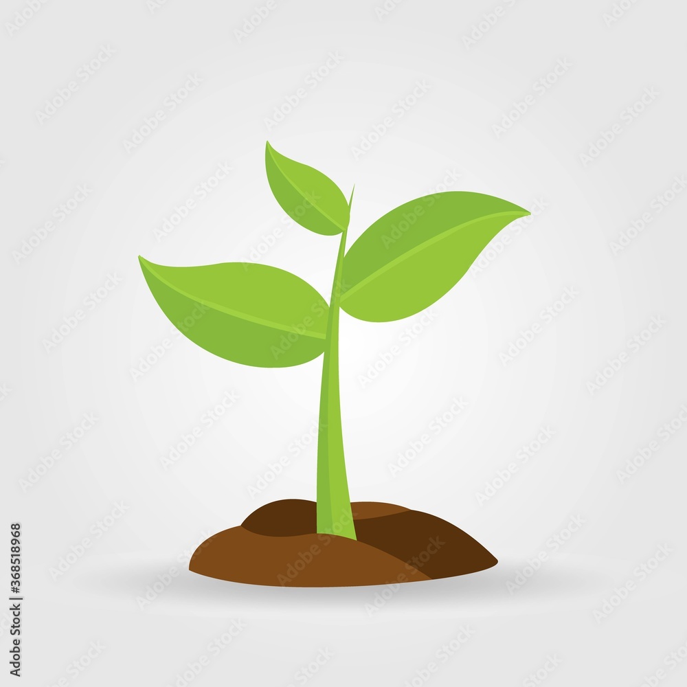 Growth of plant, from sprout to vegetable. Planting tree. Growth of plant, from sprout to vegetable. Planting tree.