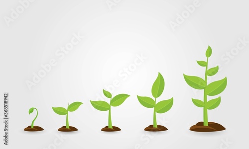 Saplings, Sprouts Growth Stages Vector Drawings Set. Green Saplings Growing In Soil Isolated Cliparts Pack.