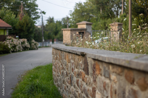 Wall with rocks, grass, plants and leaves in the road © Miguel 