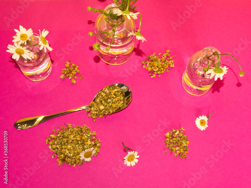 Dried chamomile flowers for tea and fresh camomile flowers in glass bottles on pink background. Floral modern concept for alternative medicine.