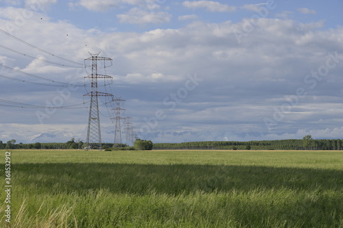 traliccio alta tensione in campo di soia, country landscape