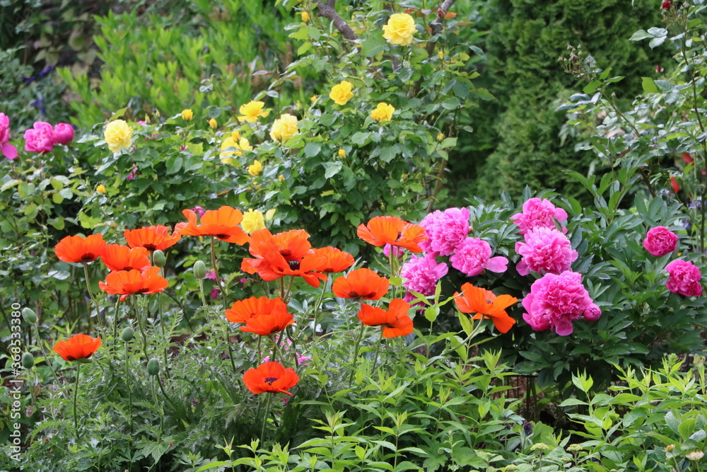 Flower garden on Gotland island, Sweden