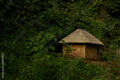 Fotografia, Obraz Village hut in a forest in kerala, India.