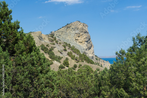 Cliff mountains landscape from behind trees. Nature
