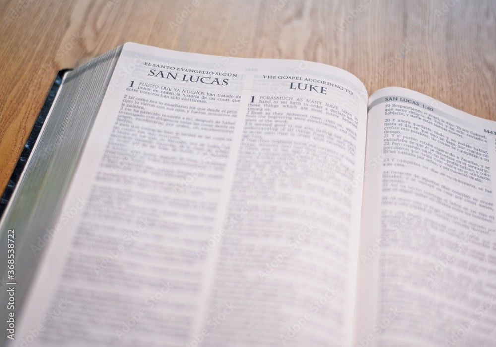 Holy Bible Christian Book  New Testament - Luke Gospel