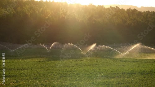 Irrigation Water Is Spraying Green Field.  Green agriculture field at golden sunset. Beautiful sun rays highlighting the water spraying over the green field.  4K outdoor landscape background.  photo