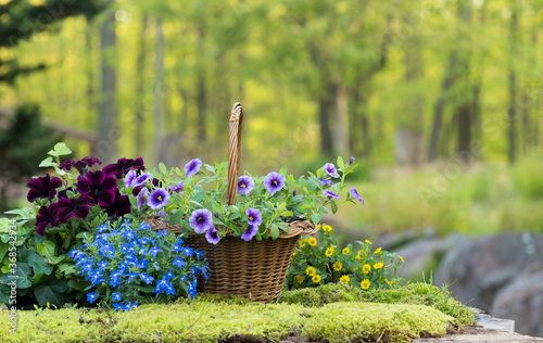 Vintage Basket of Flowers