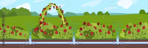 Garden watering vector illustration. Cartoon flat underground automatic irrigating water supply pipe system in cultivated organic farm fields, greenhouse or garden. Irrigation technology background