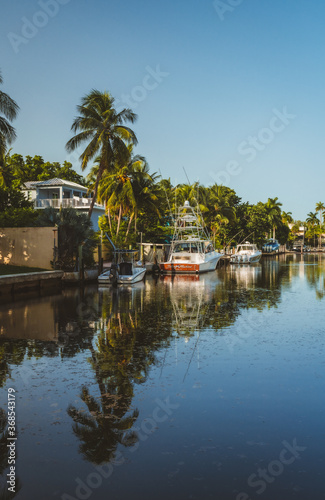 tropical resort in miami florida coconut grove reflection boats lake water palms nature vacation 