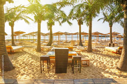 Coastal landscape - view of the beach umbrellas and palms, city of Varna, on the Black Sea coast of Bulgaria