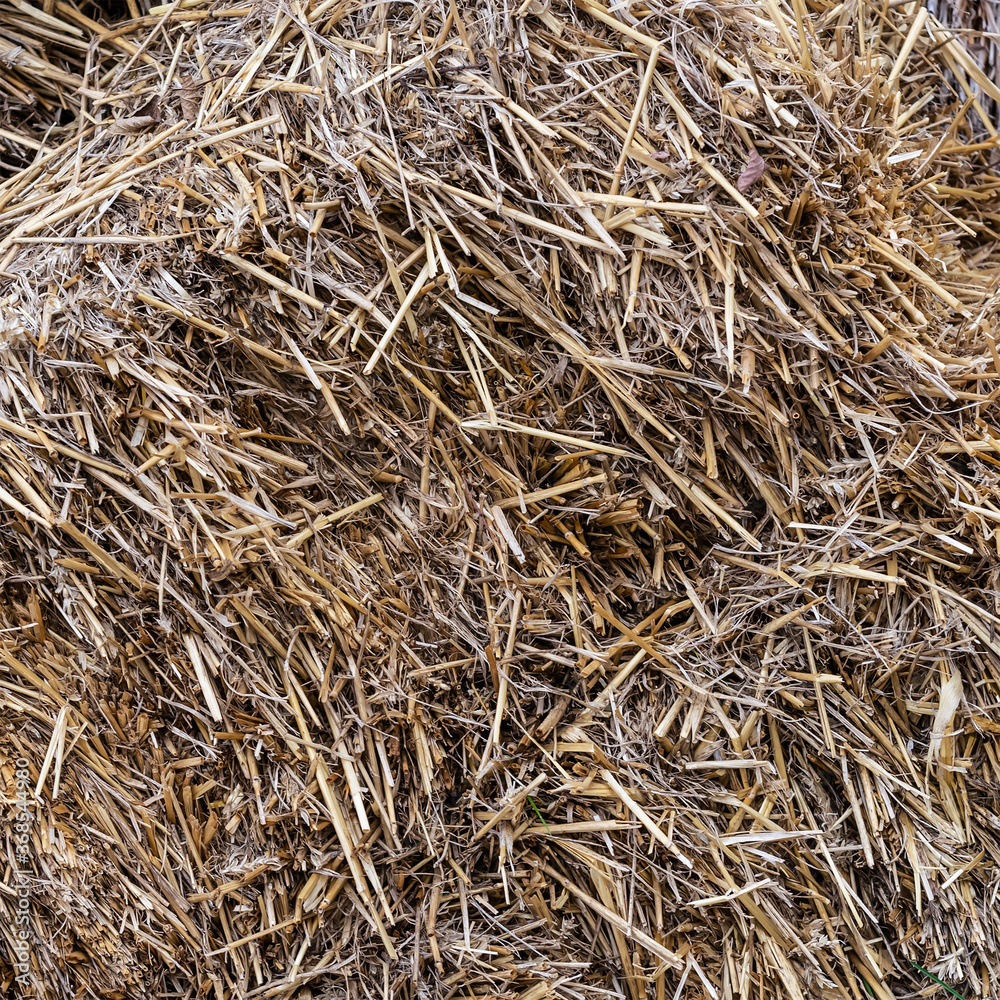dry hay background rural dark gray, stock food for livestock for the winter