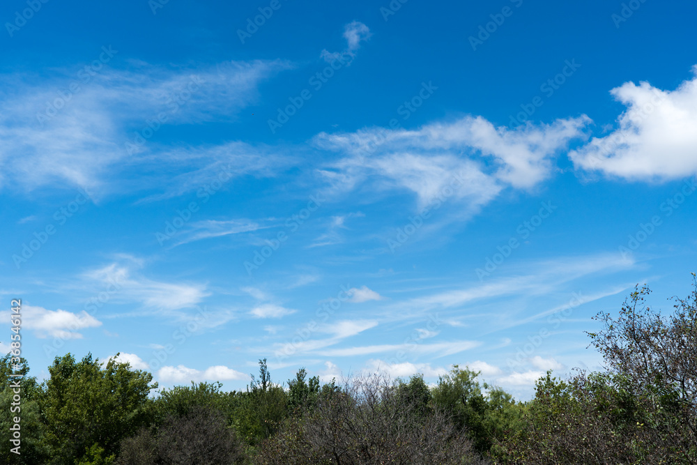Clouds in the sky in a natural Texas park on a sunny July day.