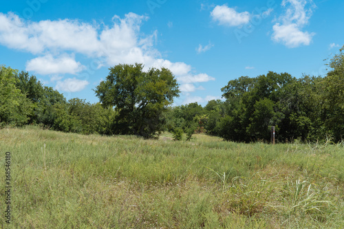 Natural Texas Park on a sunny July day. © photocinemapro