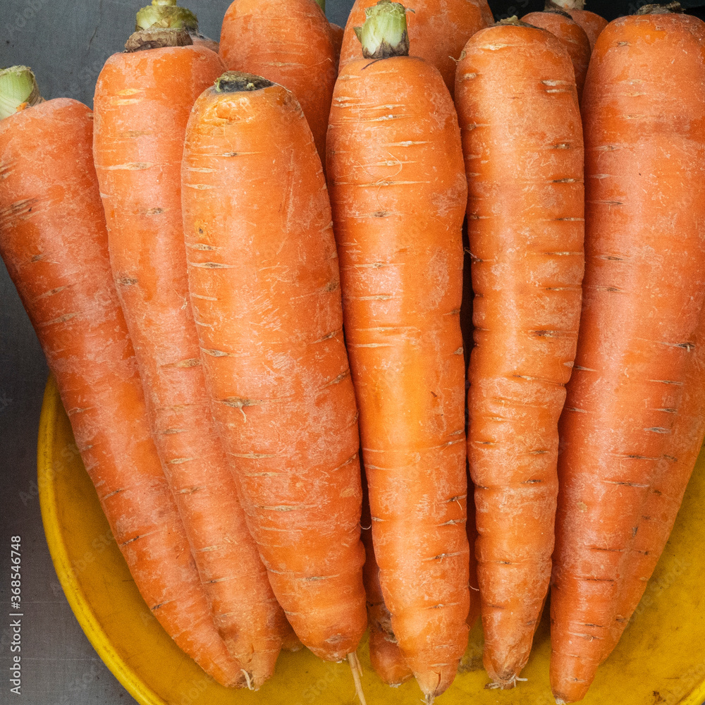 Close-up view of fresh and sweet orange carrots. Texture background of fresh large orange carrots. Product Image Vegetable Root Carrot. Space for text. Close-up view of fresh and sweet orange carrots. Texture background of fresh large orange carrots. Product Image Vegetable Root Carrot. Space for text.