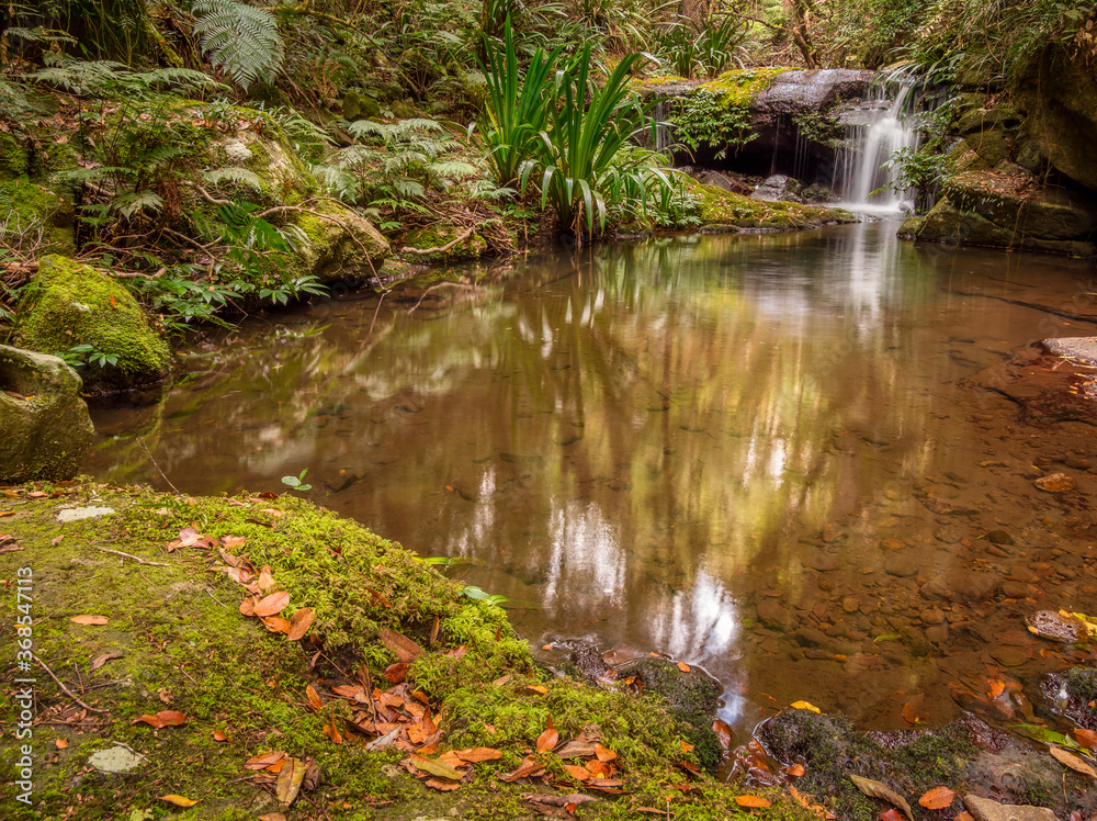 Rainforest Cascade with Reflections Rainforest Cascade with Reflections