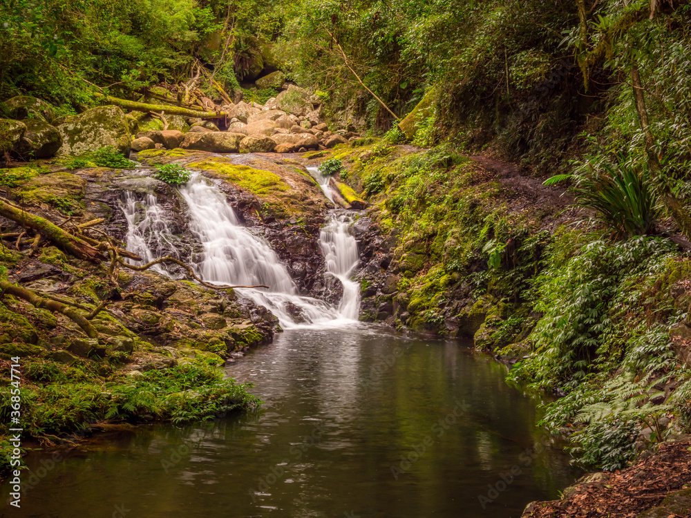 Rainforest Cascade with Reflections