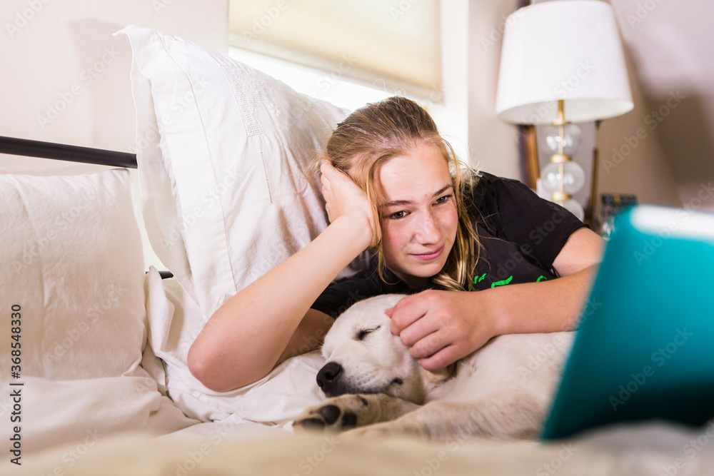 teenage girl lying in bed with her English Cream Golden Retriever while looking at her laptop teenage girl lying in bed with her English Cream Golden Retriever while looking at her laptop