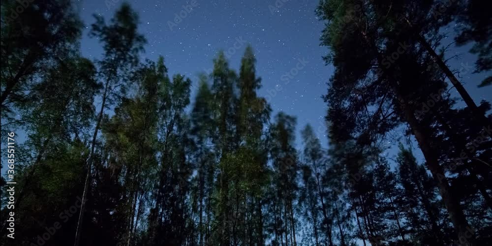 4K Starry Night Sky Fast Moving Trees Flickering Time lapse Starscape Moon forest Milky Way Galaxy fast clouds passing by night space trees nature universe galaxy