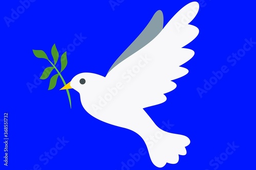 white dove face and sky blue