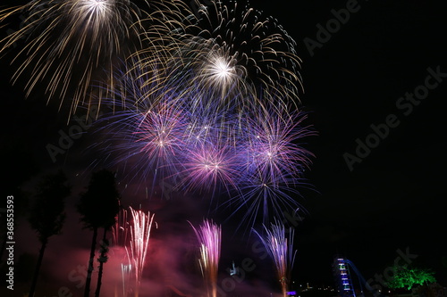 夏の夜空に咲く花火