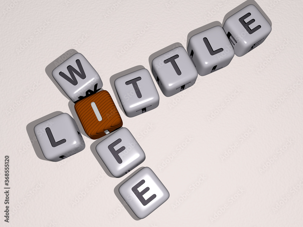 crosswords of little wife arranged by cubic letters on a mirror floor, concept meaning and presentation. girl and child crosswords of little wife arranged by cubic letters on a mirror floor, concept meaning and presentation. girl and child