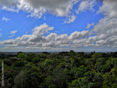 a beautiful landscape showing the mix of the city and nature, in the heart of the Amazon rainforest